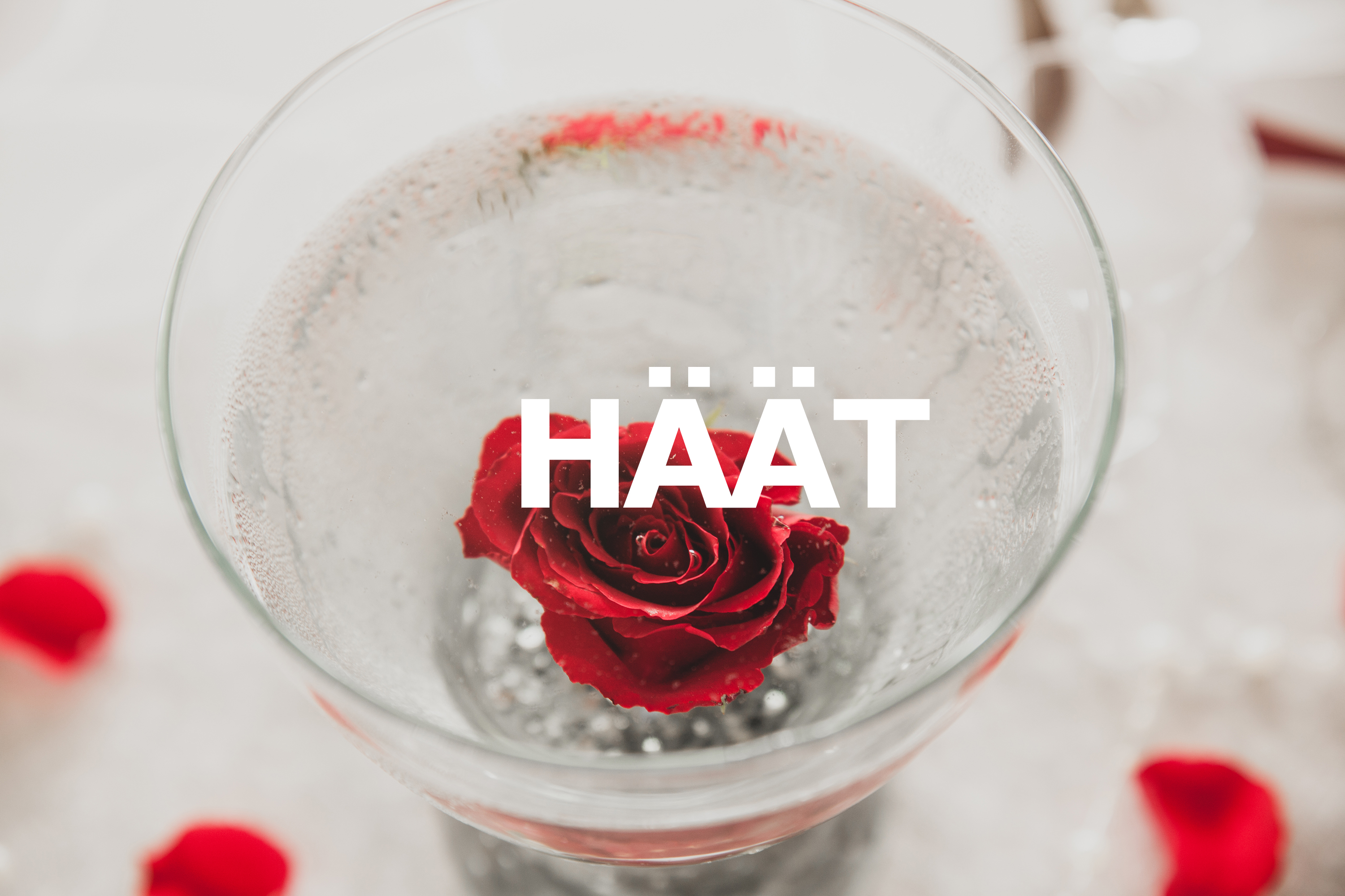 Häät kansikuva